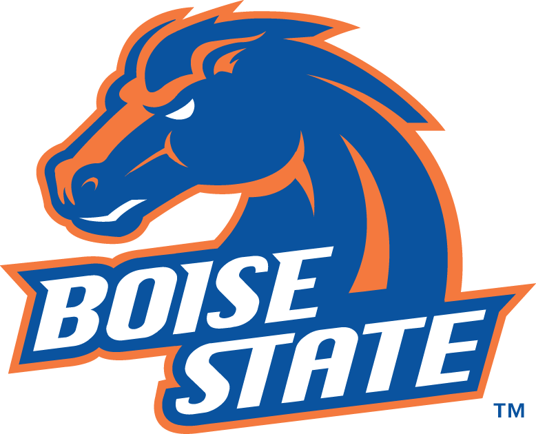 Boise State Broncos 2002-2012 Alternate Logo v3 diy fabric transfer